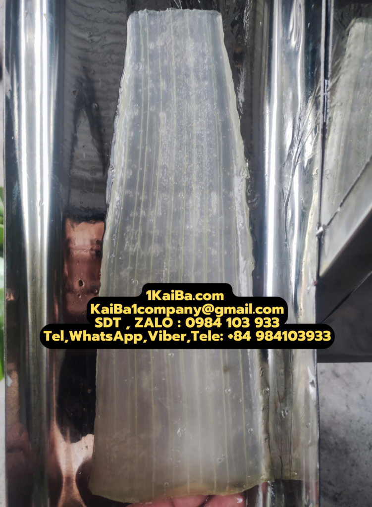 Aloe Vera Peeling Machine