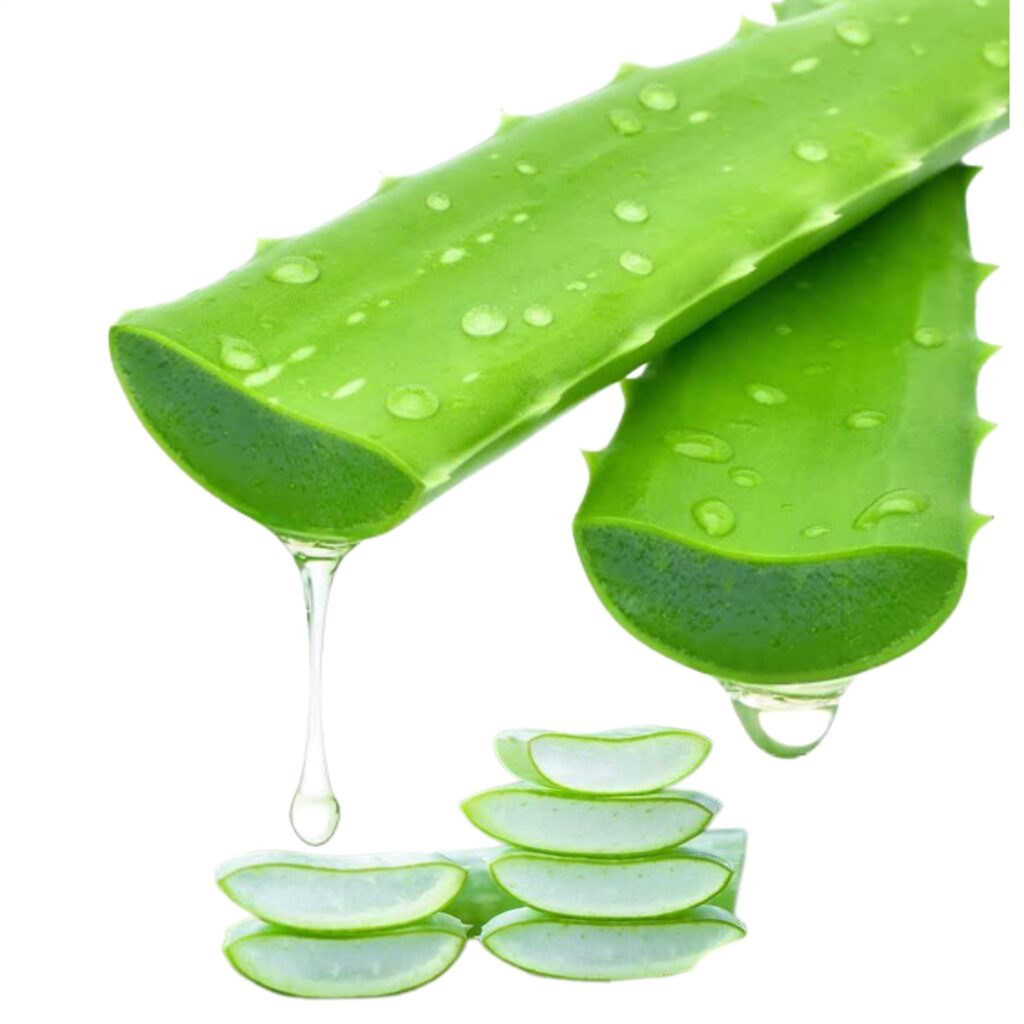 Aloe Vera Peeling Machines