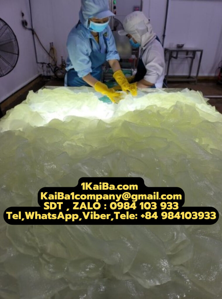 Aloe Vera Cutting Machine