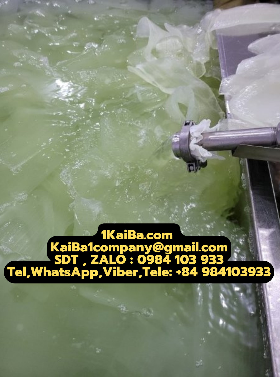 AloeVera Peeling Machine